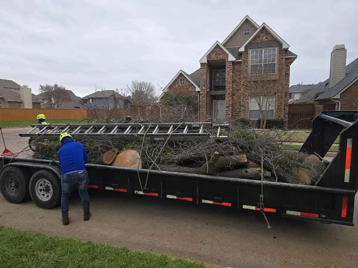 Expert Tree Fertilization with proper safety equipment in Gaston